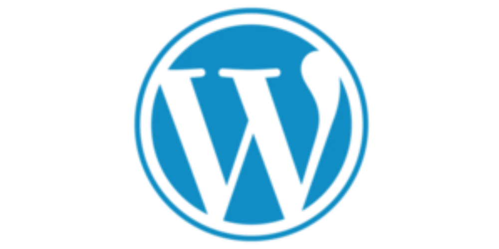 wordpress expert digital marketing expert in ajman uae